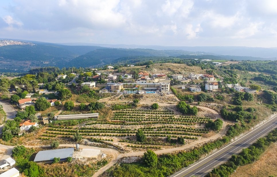 Aerial view of Alkosh and the vineyards in the Western Galilee