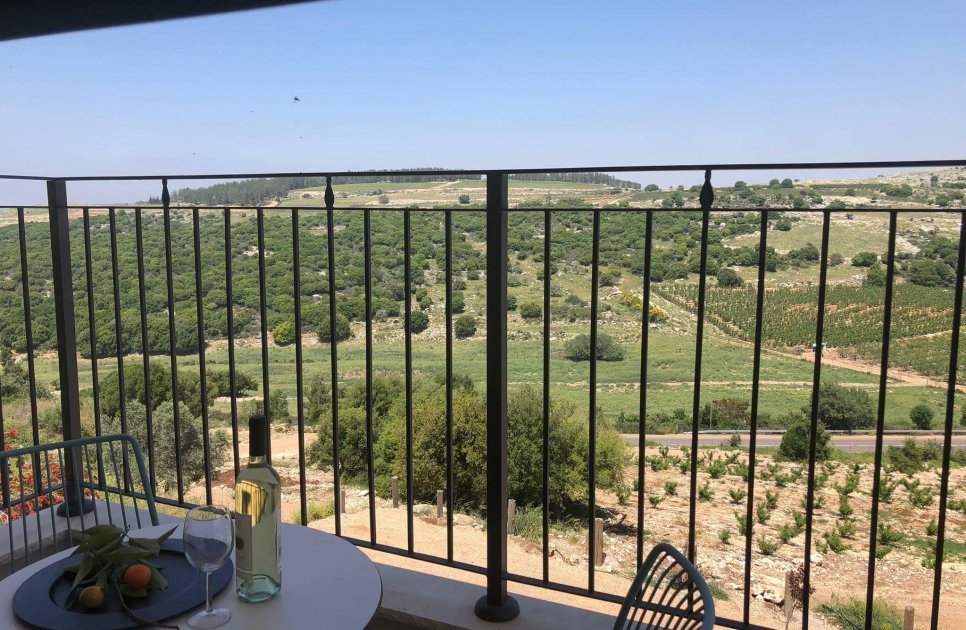 Vineyard view from the top floor balcony